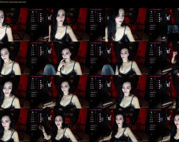 laylamaze