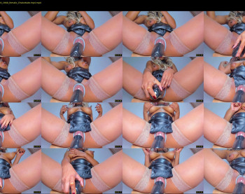 melania_browis