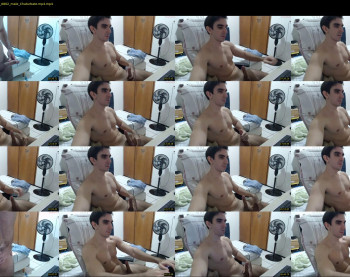 gatosarado23