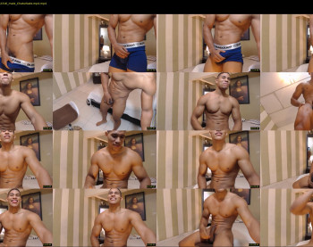 teddyfit19cm