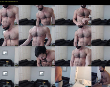 therealkingyoshi