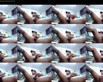 darell_bears