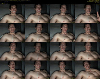 noobgains