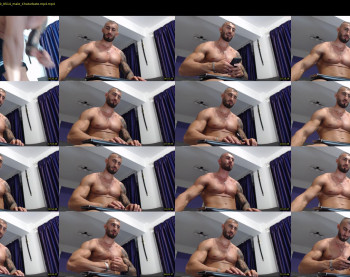 roccoomuscles