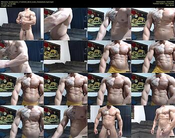bestmuscle