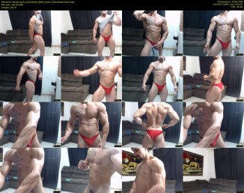 bestmuscle