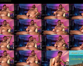 hot_bear_