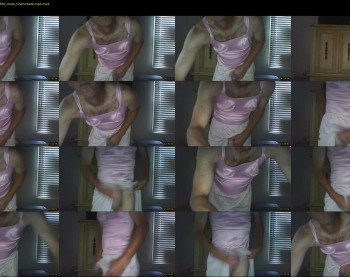 pantieslady