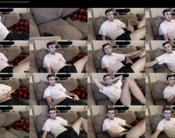 sexual_vibrations