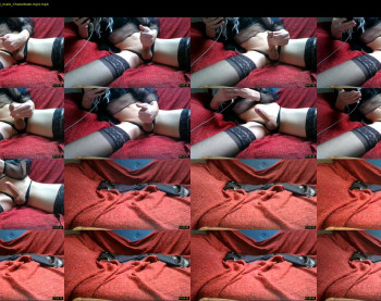 alex_cd_