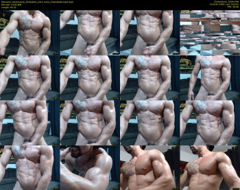 bestmuscle