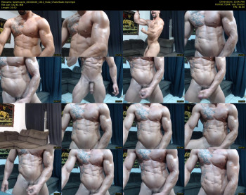 bestmuscle