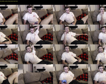 sexual_vibrations