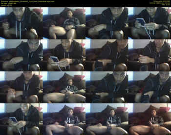 sharkdickwilly