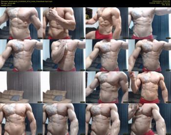 bestmuscle