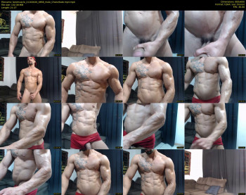 bestmuscle