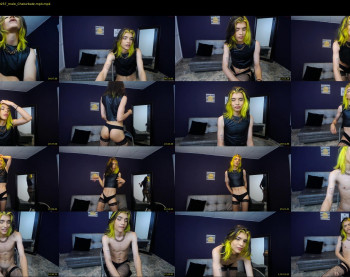 dallas_twing