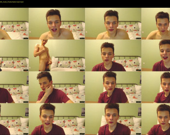 felix_fox05
