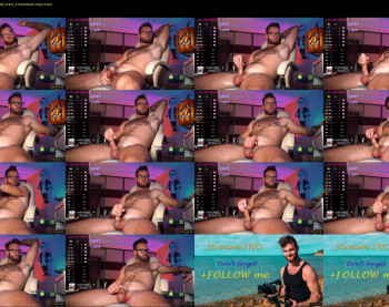 hot_bear_
