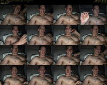 noobgains