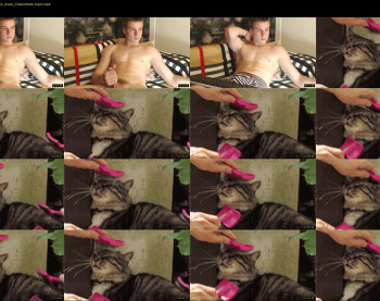 curtis_roy