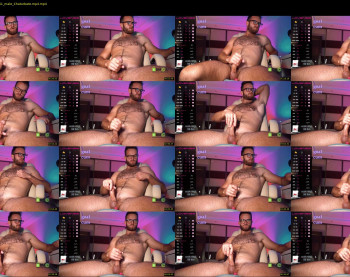 hot_bear_