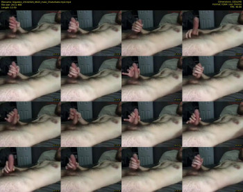 bigastex