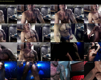 muscle_dog