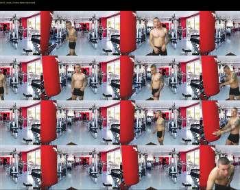 rocco_viloria