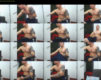 rocco_viloria