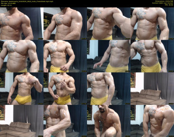 bestmuscle