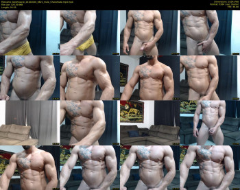 bestmuscle