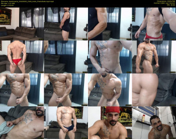 bestmuscle