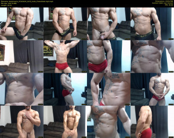 bestmuscle