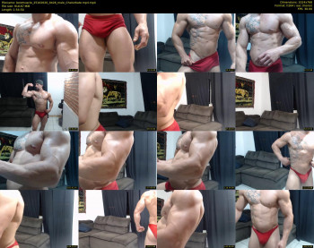 bestmuscle