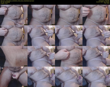 jimbeefbear