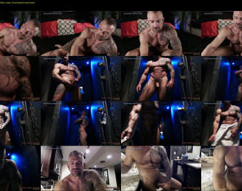 muscle_dog