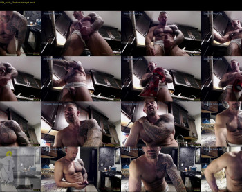 muscle_dog