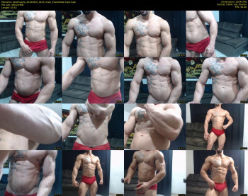 bestmuscle