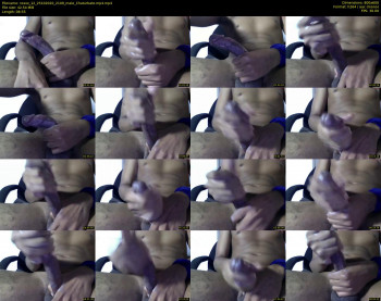 rexxx_12