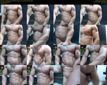 bestmuscle