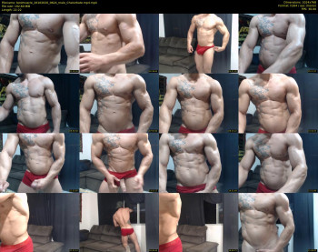 bestmuscle