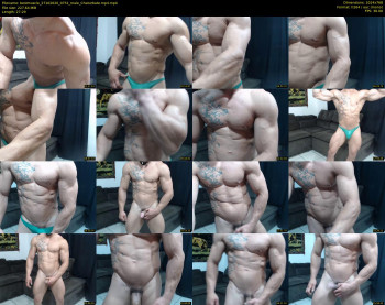 bestmuscle