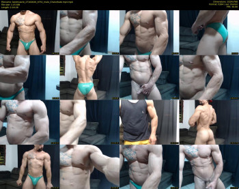 bestmuscle