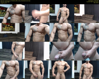 bestmuscle