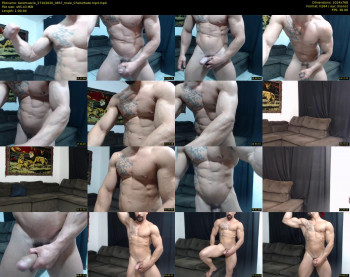 bestmuscle