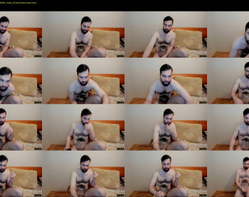 hairy__bear_