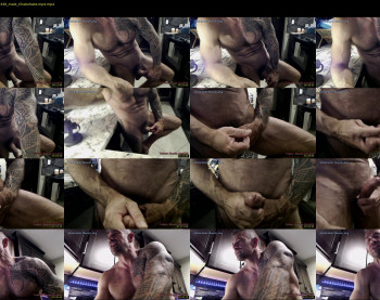 muscle_dog