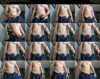 thefitboy