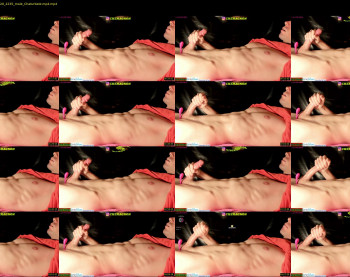 abdominator4cb